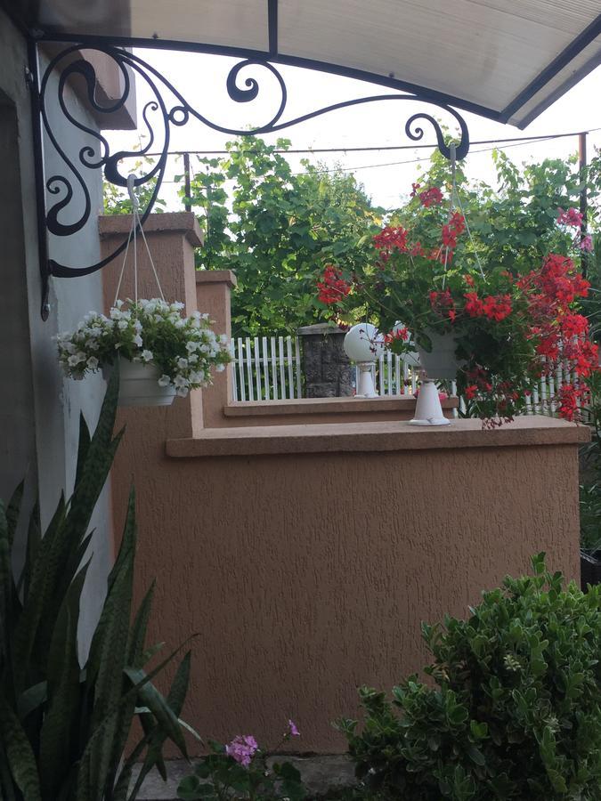Apartamento Private House Beregovo Exterior foto