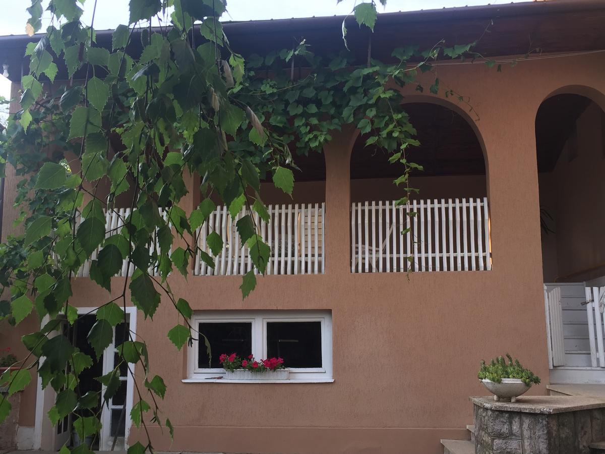 Apartamento Private House Beregovo Exterior foto